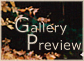 Gallery Preview